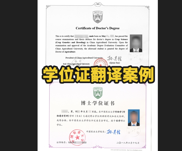 学位证书翻译标准流程与注意事项